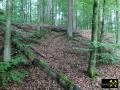 Eisen-Mangan-Bergbau im Lochborner Revier bei Bieber, Nordspessart, Hessen, (D) (3) 31. Mai 2014.JPG